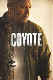 Coyote