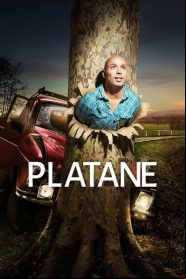 Platane