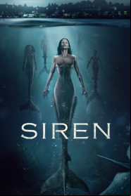 Siren